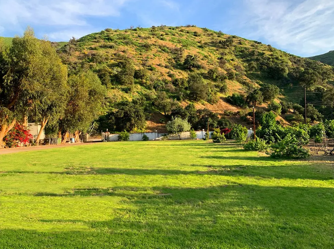 East Lawn